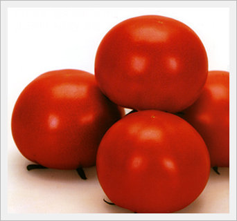 Tomato Seeds -Dragonball-  Made in Korea